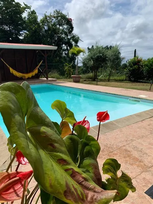 Casa Fall Villa 4 Ch Piscine Schoelcher